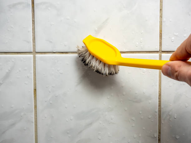 Best DIY Mold Remediation Support Services in Henryville, IN
