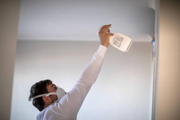 Best White Mold Remediation in Henryville, IN