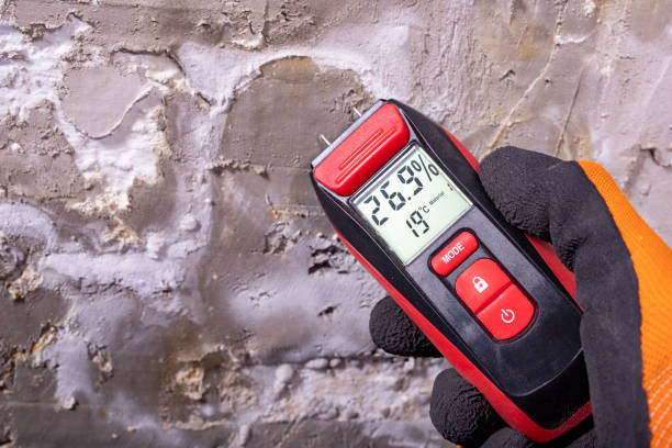 Best Post-Remediation Services in Henryville, IN